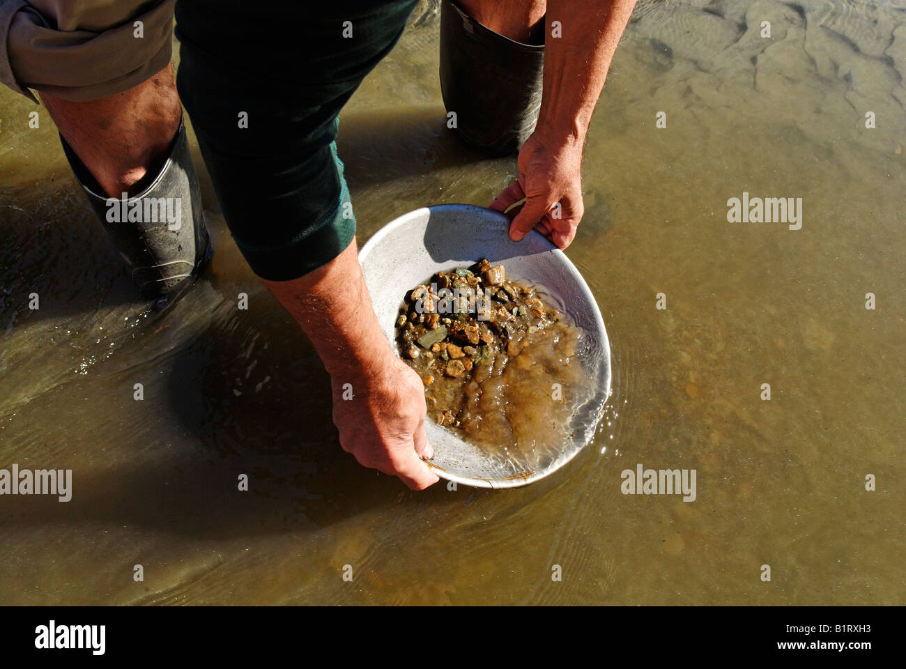 Chercheur d'or pour gagner la médaille d'or de sable de lavage, orpaillage, Klondike, Dawson City, Yukon Territory, Canada Banque D'Images