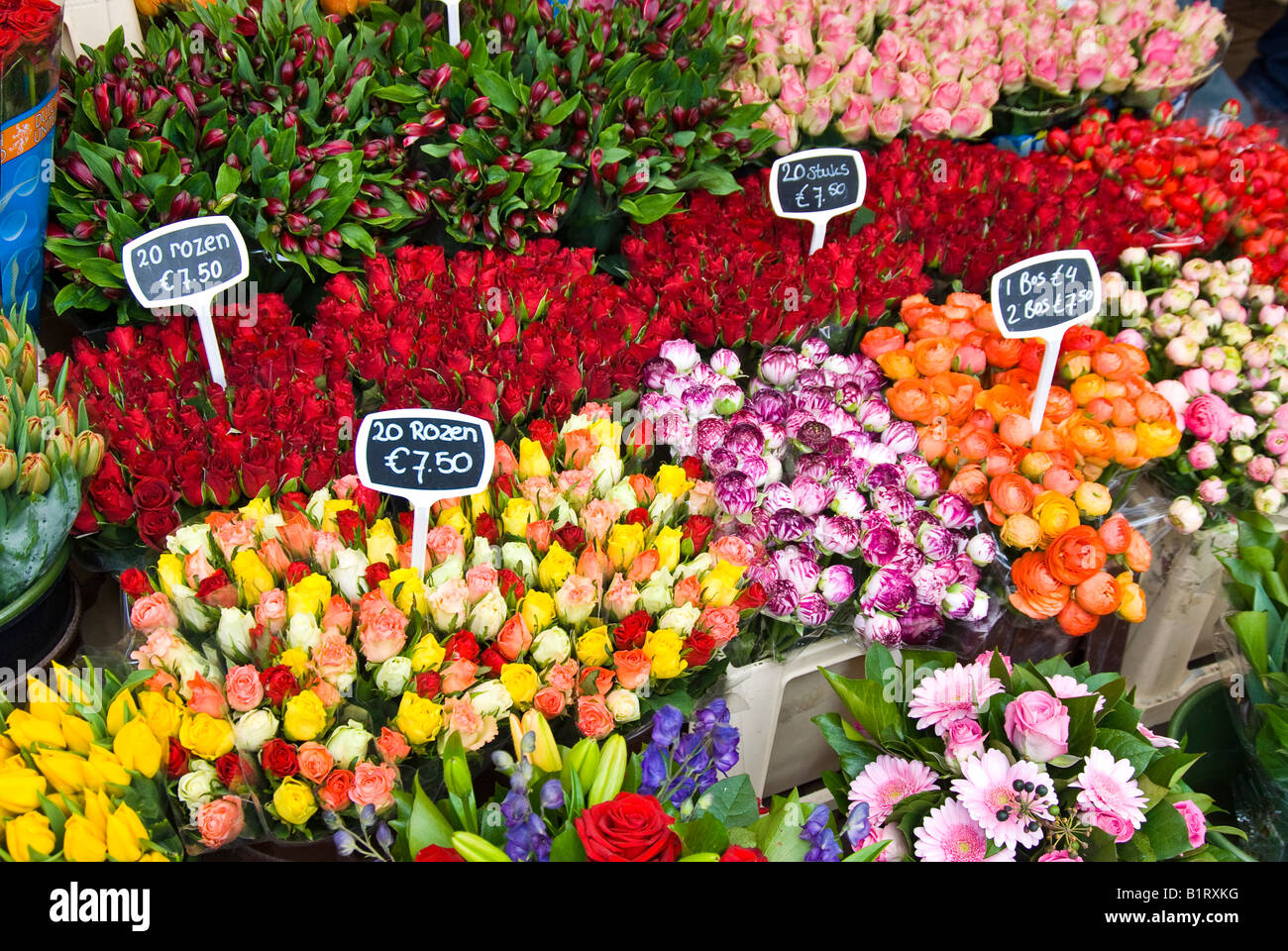 Les fleurs coupées, marché aux fleurs flottant, Canal Singel, Amsterdam, Pays-Bas, Europe Banque D'Images