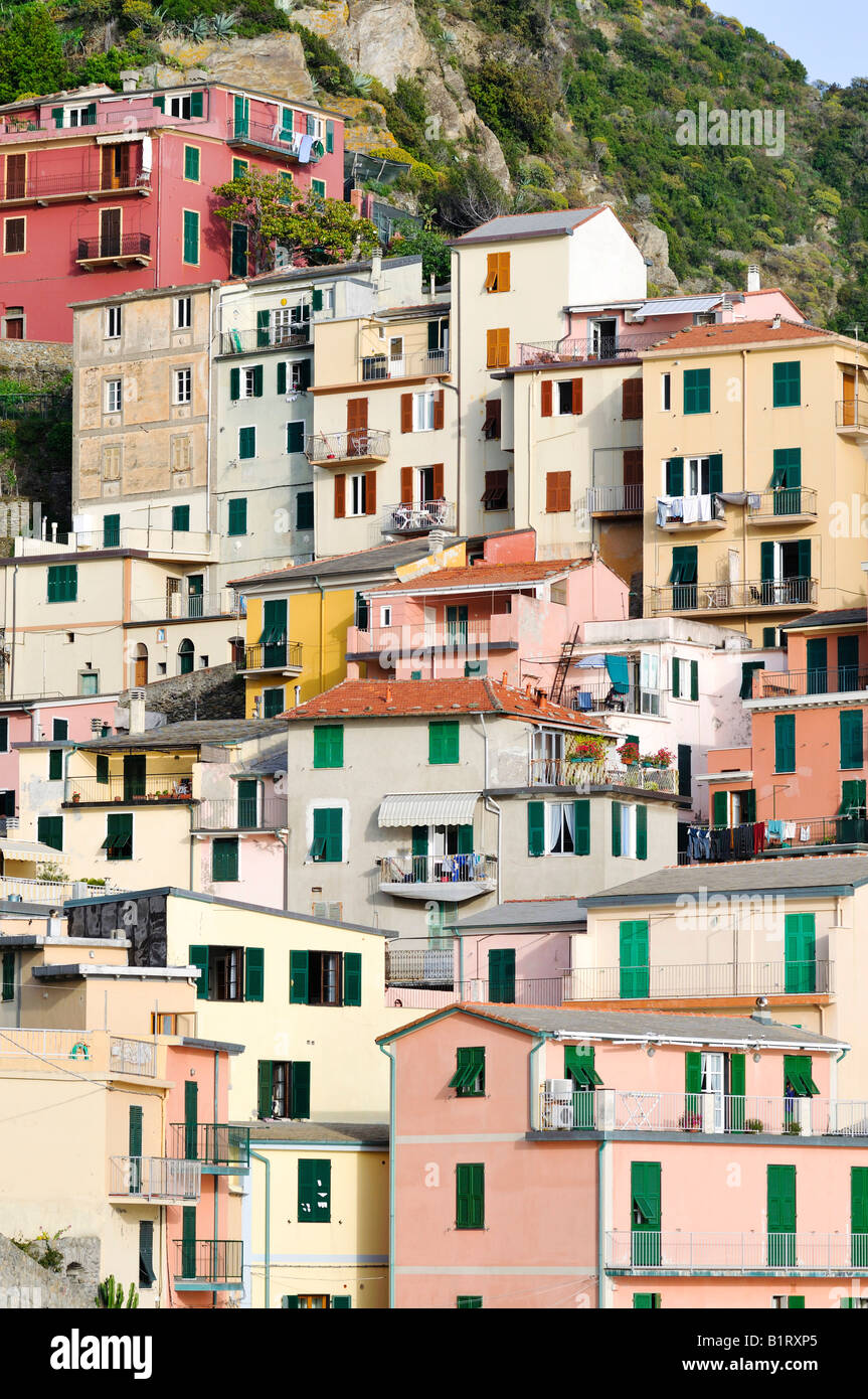 Façades de maisons niché à flanc de montagne dans la région de Manarola, Liguria, Cinque Terre, Italie, Europe Banque D'Images