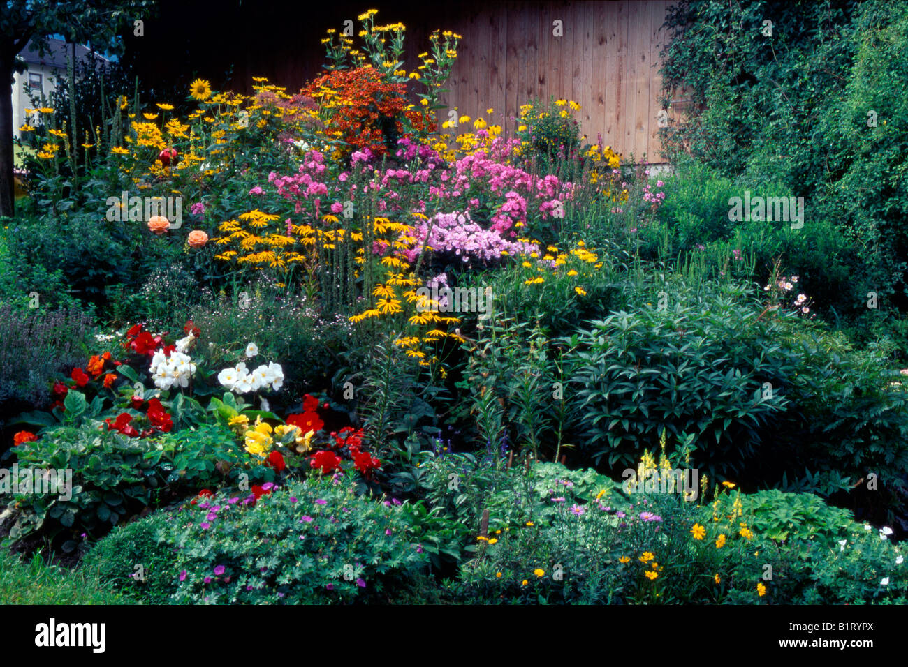 Jardin de fleurs, Schwaz, Tyrol, Autriche, Europe Banque D'Images