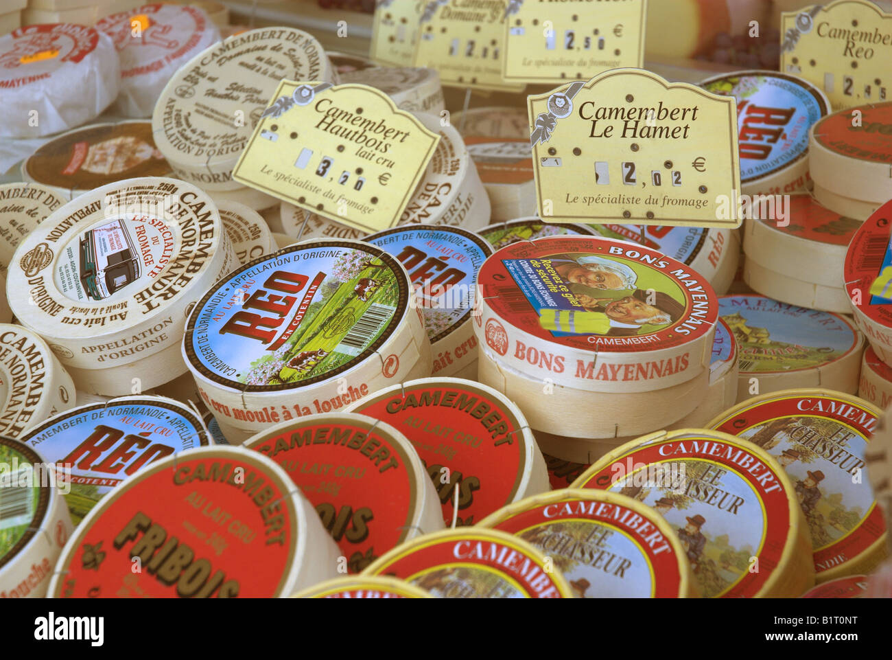 Une sélection de fromages camembert en vente sur un stand dans le marché à St Hilaire du Harcouet, Normandie, France. Banque D'Images