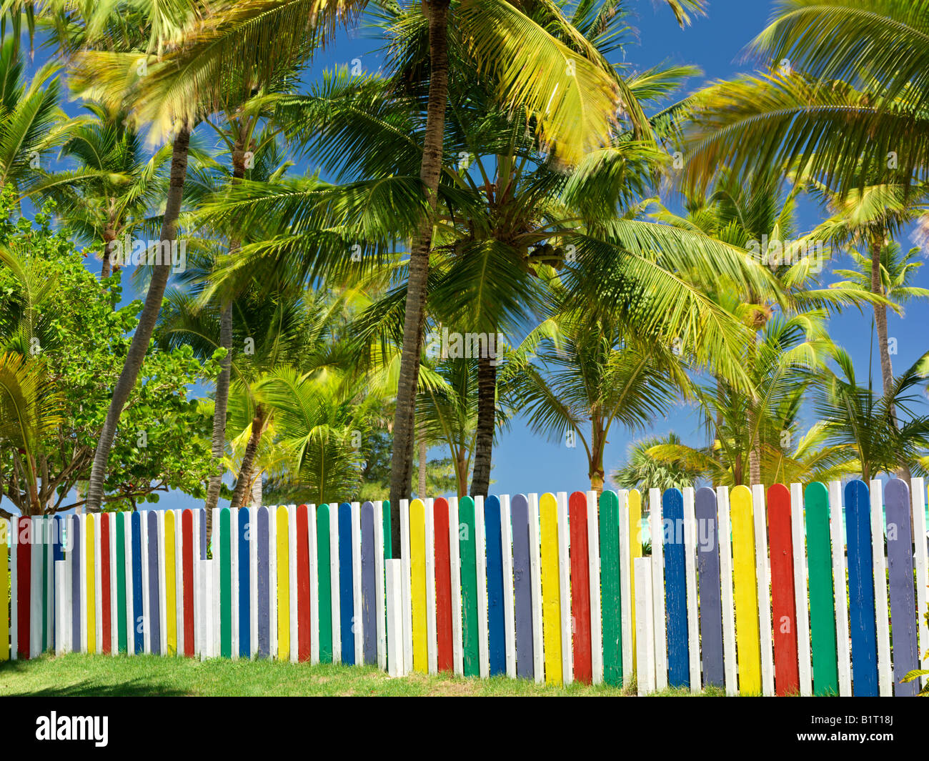 République dominicaine Punta Cana Bavaro Beach multi colored picket fence et palmiers Banque D'Images