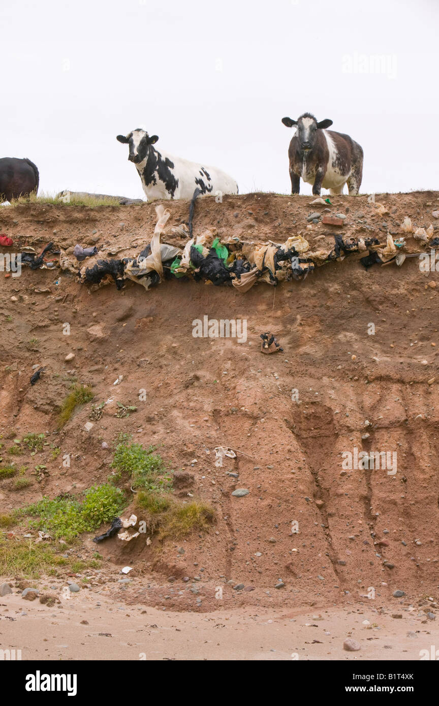 Ancienne décharge déchets révélé en falaises par l'érosion côtière sur l'île de Walney off Barrow in Furness UK Banque D'Images