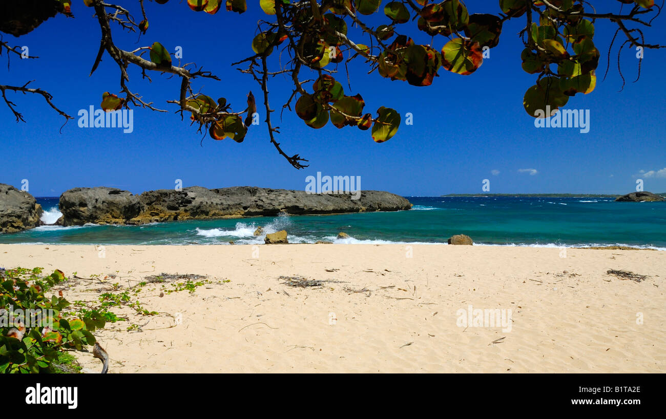 La plage de Punta Marchiquita près de la petite ville de Los Molinos est un joyau caché sur la côte du nord près de Manati, Puerto Rico Banque D'Images