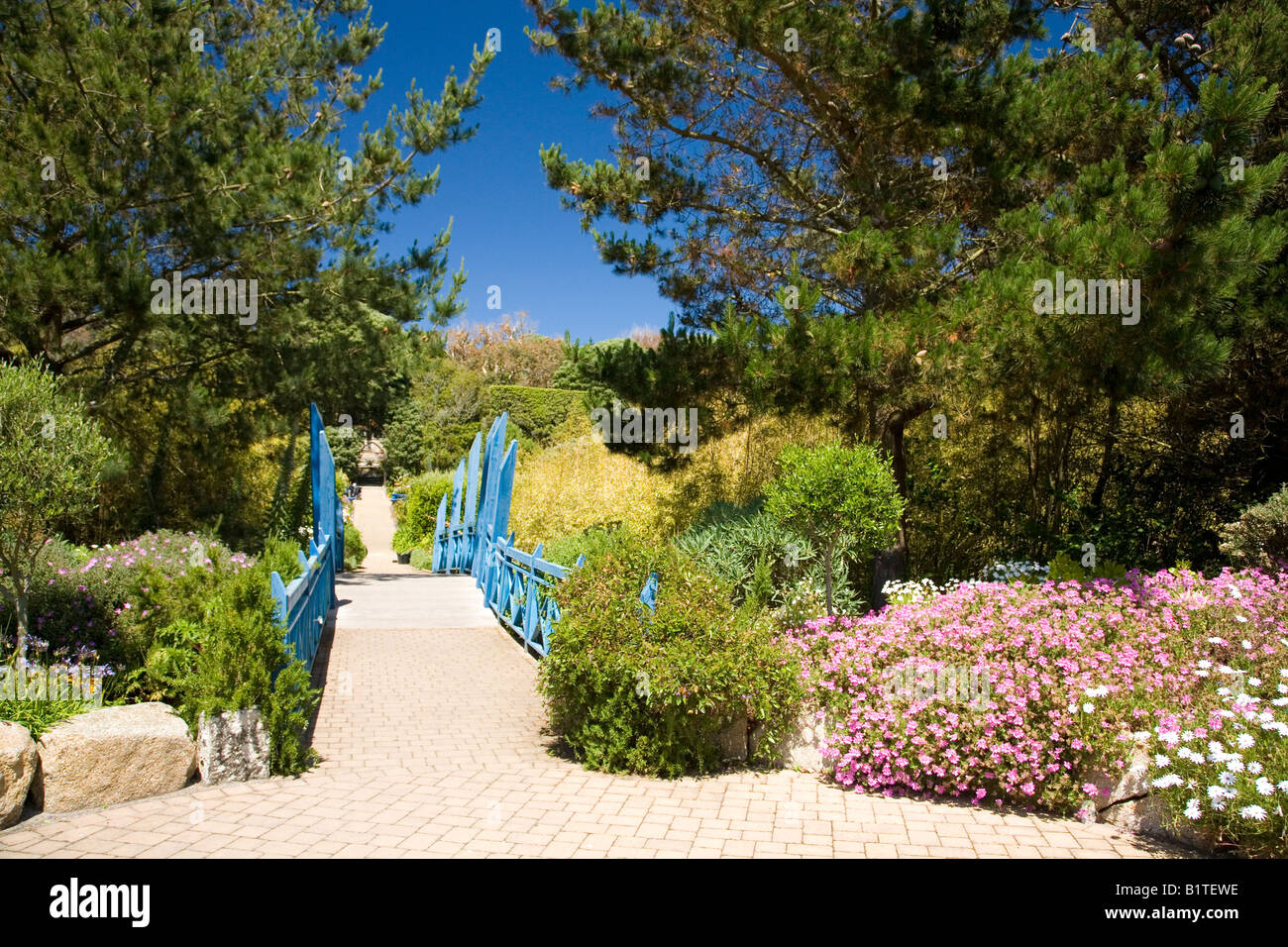 Sous l'abbaye de Tresco Jardins tropicaux en été sunshine blue bridge près de l'entrée Penzance Cornwall England UK Banque D'Images