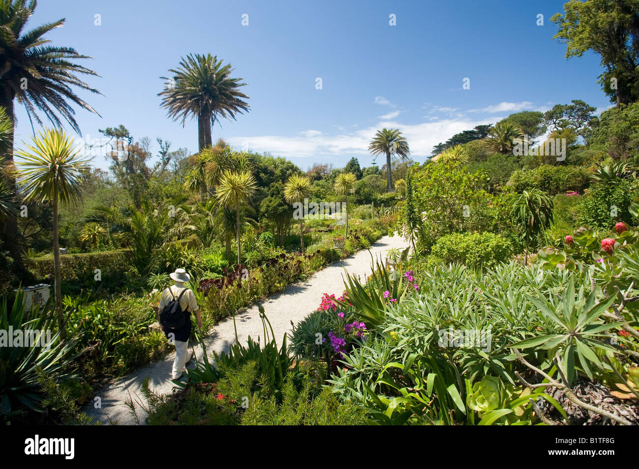 Les jardins de l'abbaye de Tresco Penzance Cornwall England GB Grande Bretagne UK Royaume-Uni Îles britanniques Europe Banque D'Images