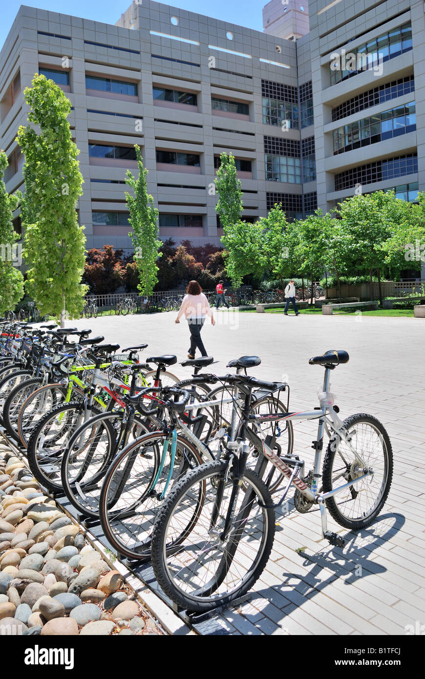 Les vélos garés devant Beckman Center à l'Université de Stanford à Palo Alto en Californie Banque D'Images