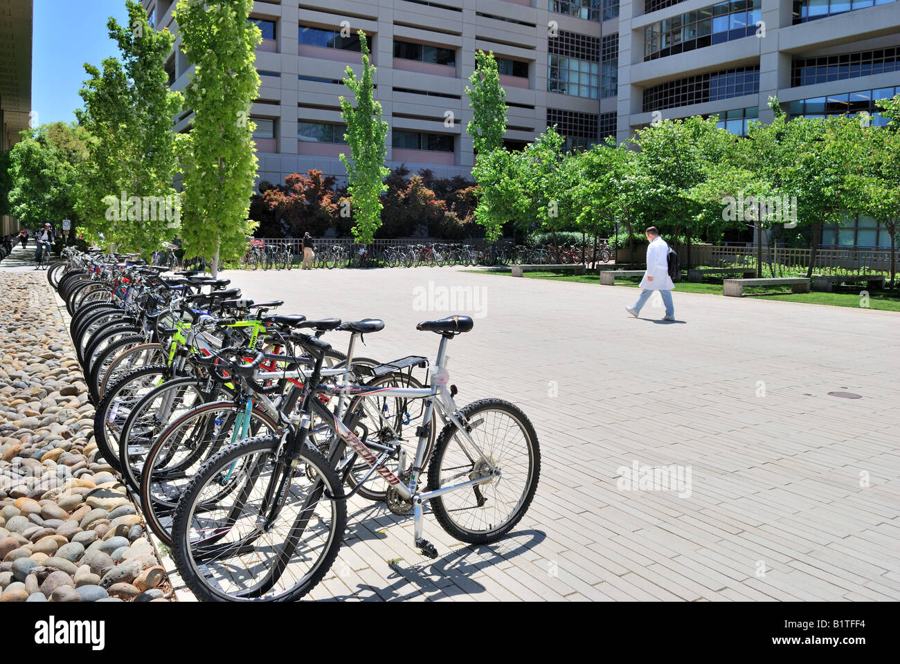 Les vélos garés devant Beckman Center à l'Université de Stanford à Palo Alto en Californie Banque D'Images
