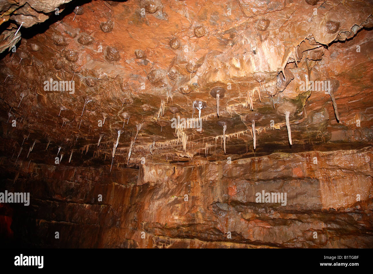 Dan yr Ogof Grottes Galles UK Banque D'Images