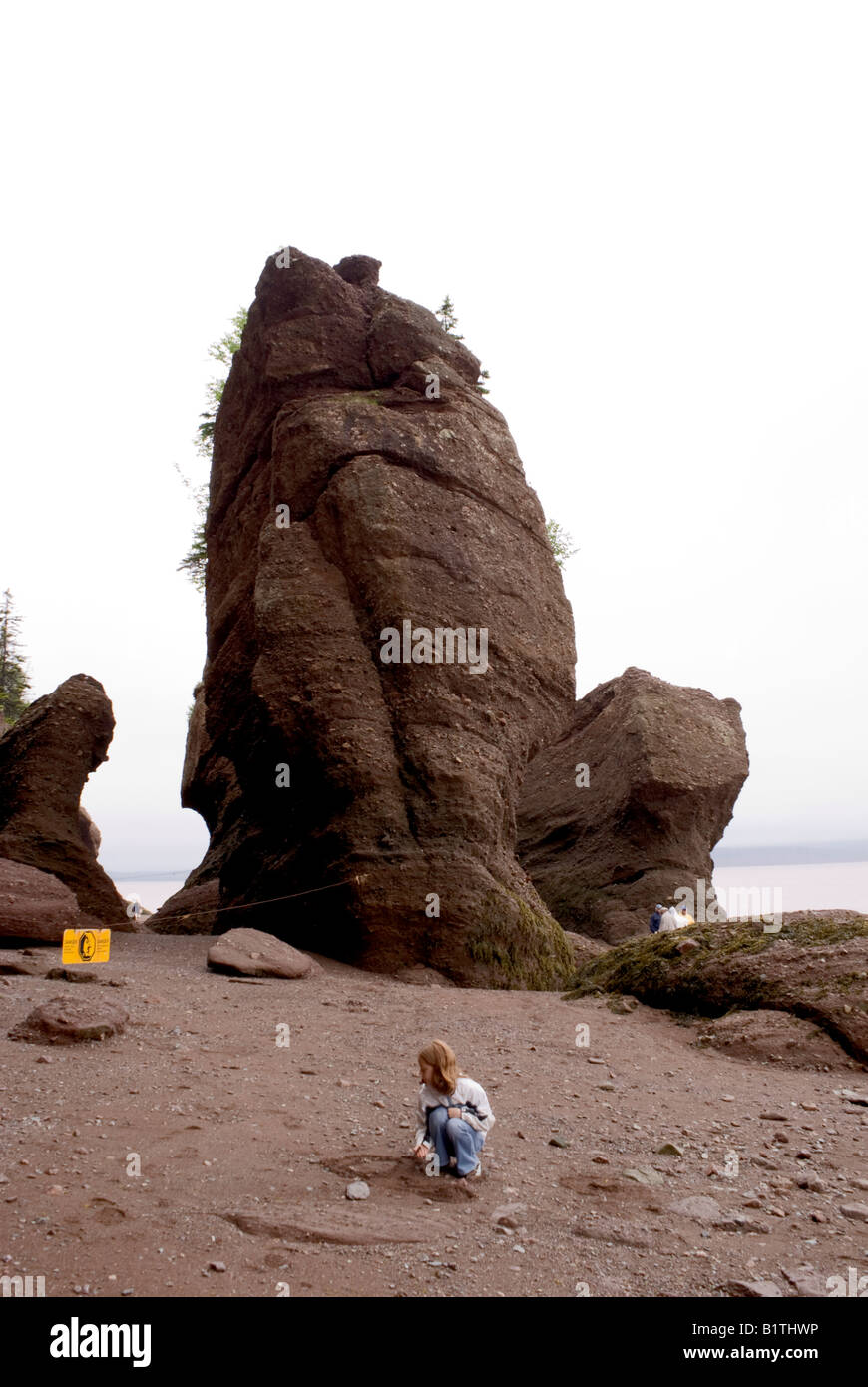 Enfant jouant sur la mer boueuse marbre Rochers de Hopewell Banque D'Images