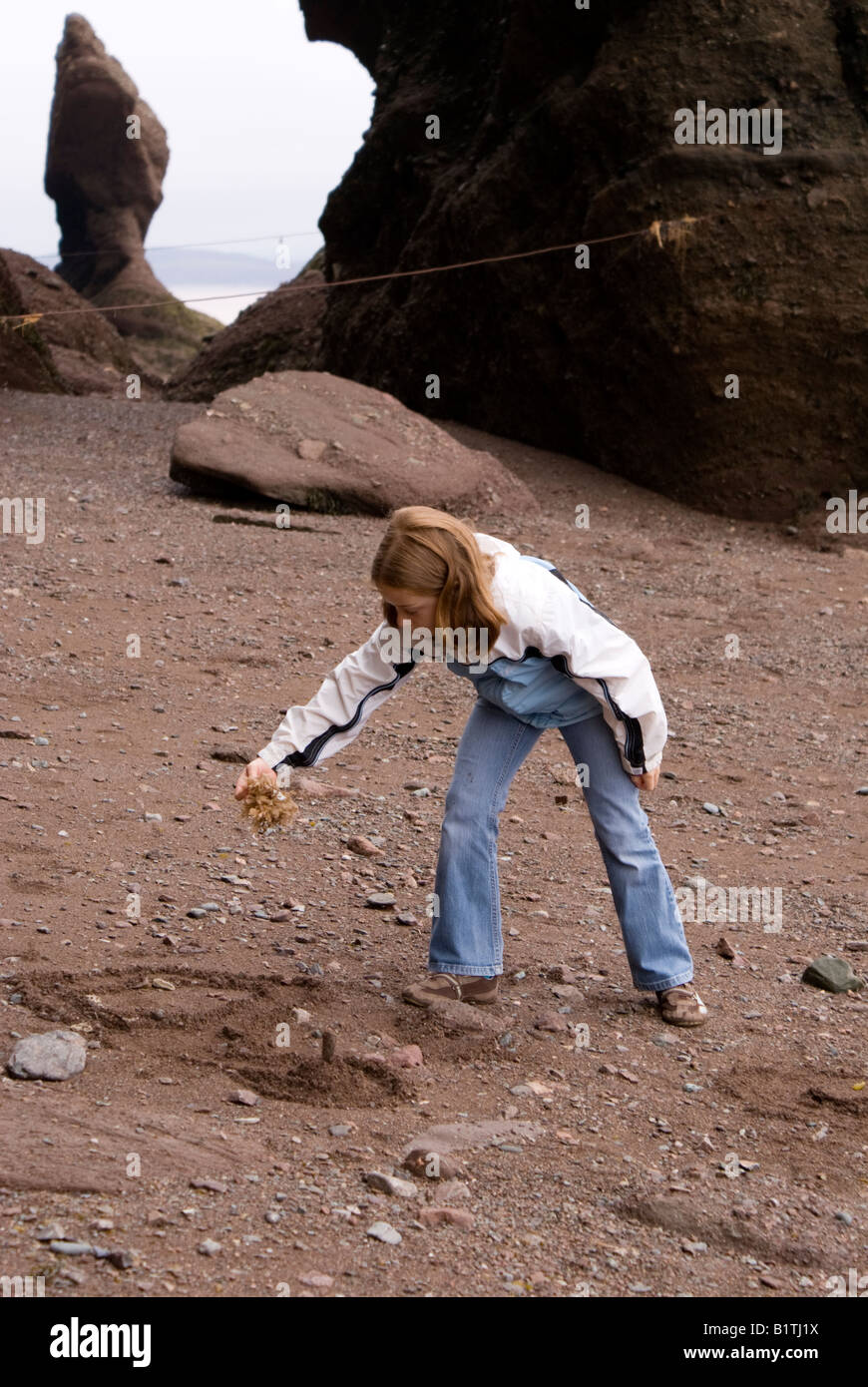 Enfant jouant sur la mer boueuse marbre Rochers de Hopewell Banque D'Images