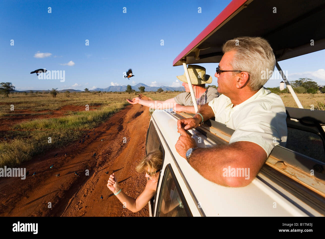 Les touristes dans un bus safari oiseaux alimentation Taita Hills Game Reserve Kenya Côte Banque D'Images