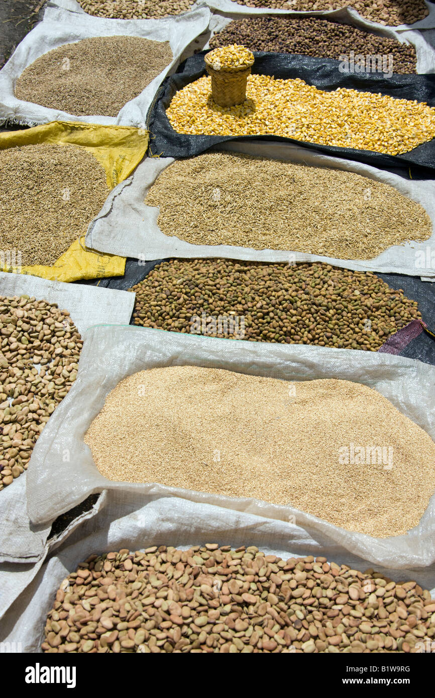 Graines de haricots et de légumineuses à grain à vendre à Saquisili marché dans l'Avenue du volcan est en Equateur Banque D'Images