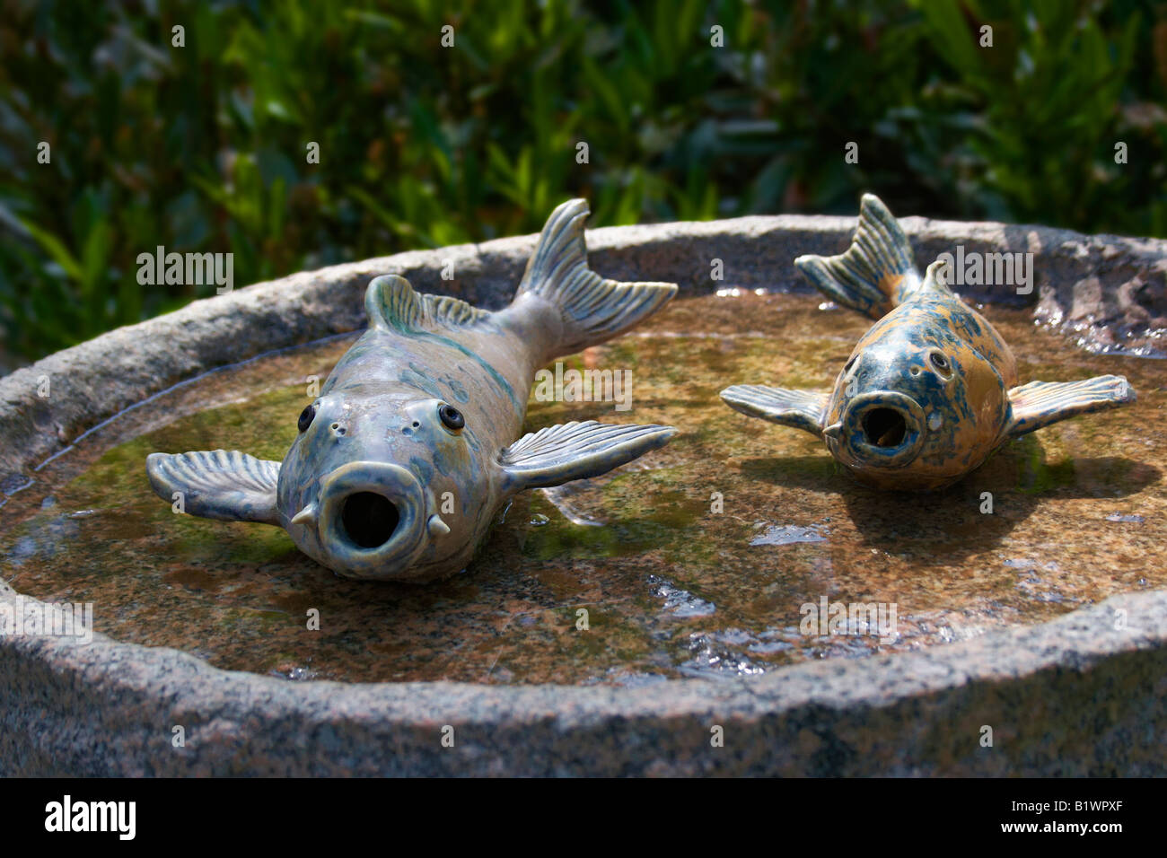 Un birdbath avec ornements de poissons en céramique dans un jardin privé Banque D'Images