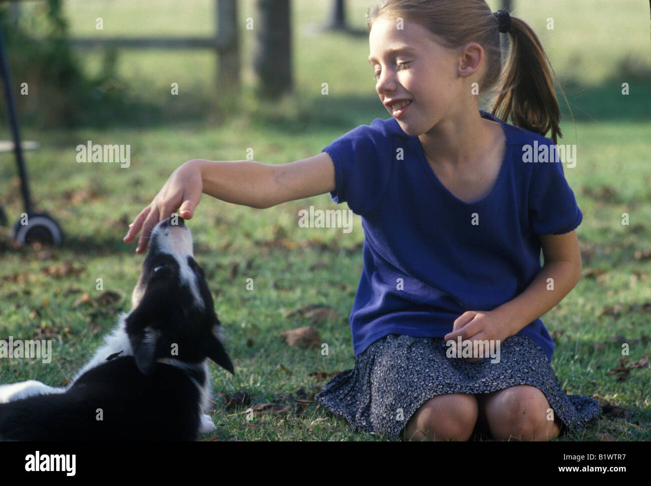 Petite fille essayant de former un border collie puppy Banque D'Images