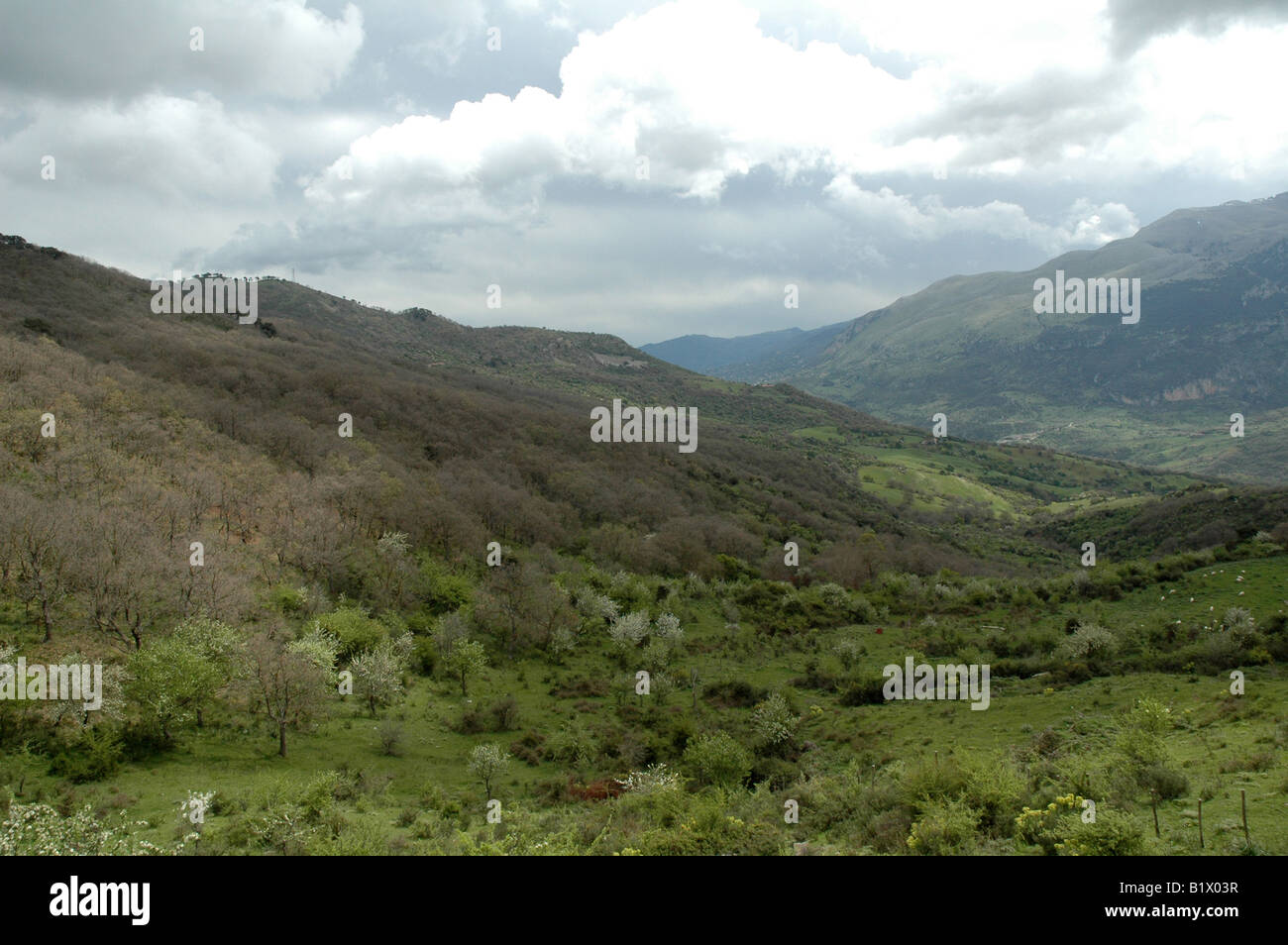 Le Parc National de Madonie, Cefalu, Sicile. Banque D'Images