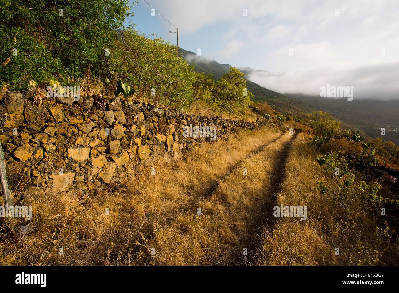 Chemin rural, El Hierro, Îles Canaries Banque D'Images