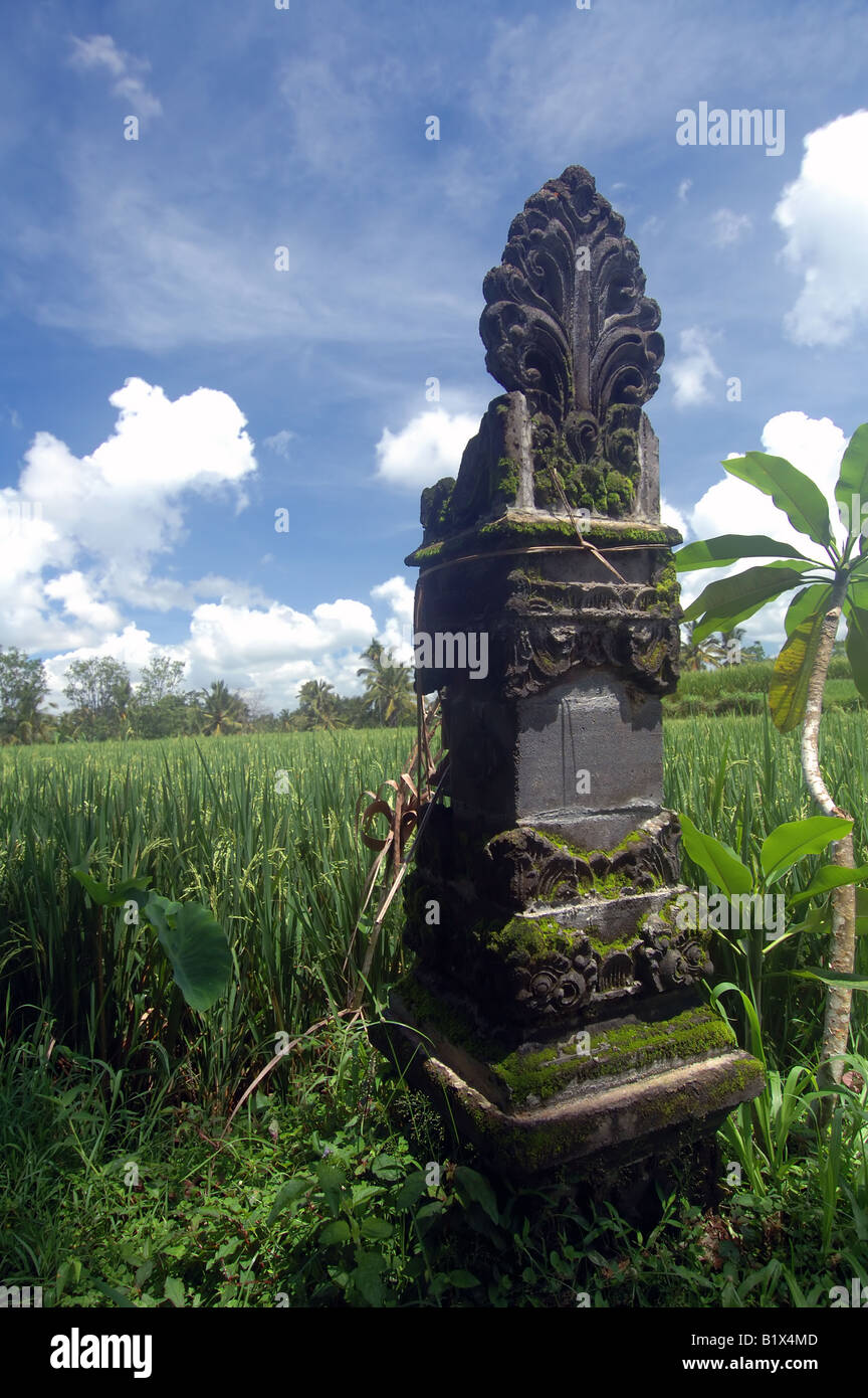 Lieu de culte traditionnel à la famille rizière près de Ubud Bali Indonésie Banque D'Images