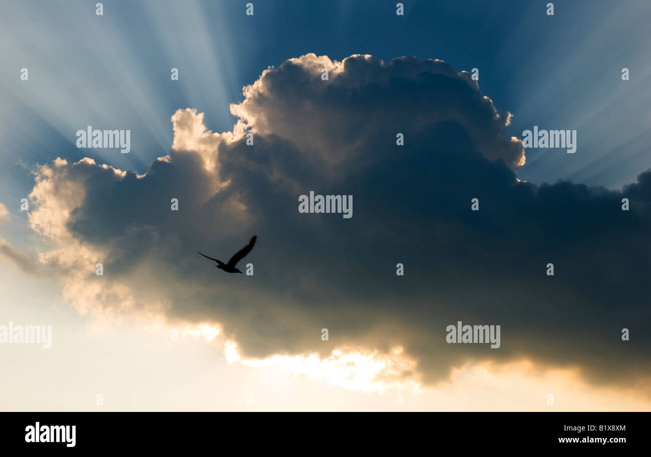 Une belle image de l'atmosphère du soleil étant obscur par un nuage de pluie sombre.Les rayons sont en rupture. Banque D'Images