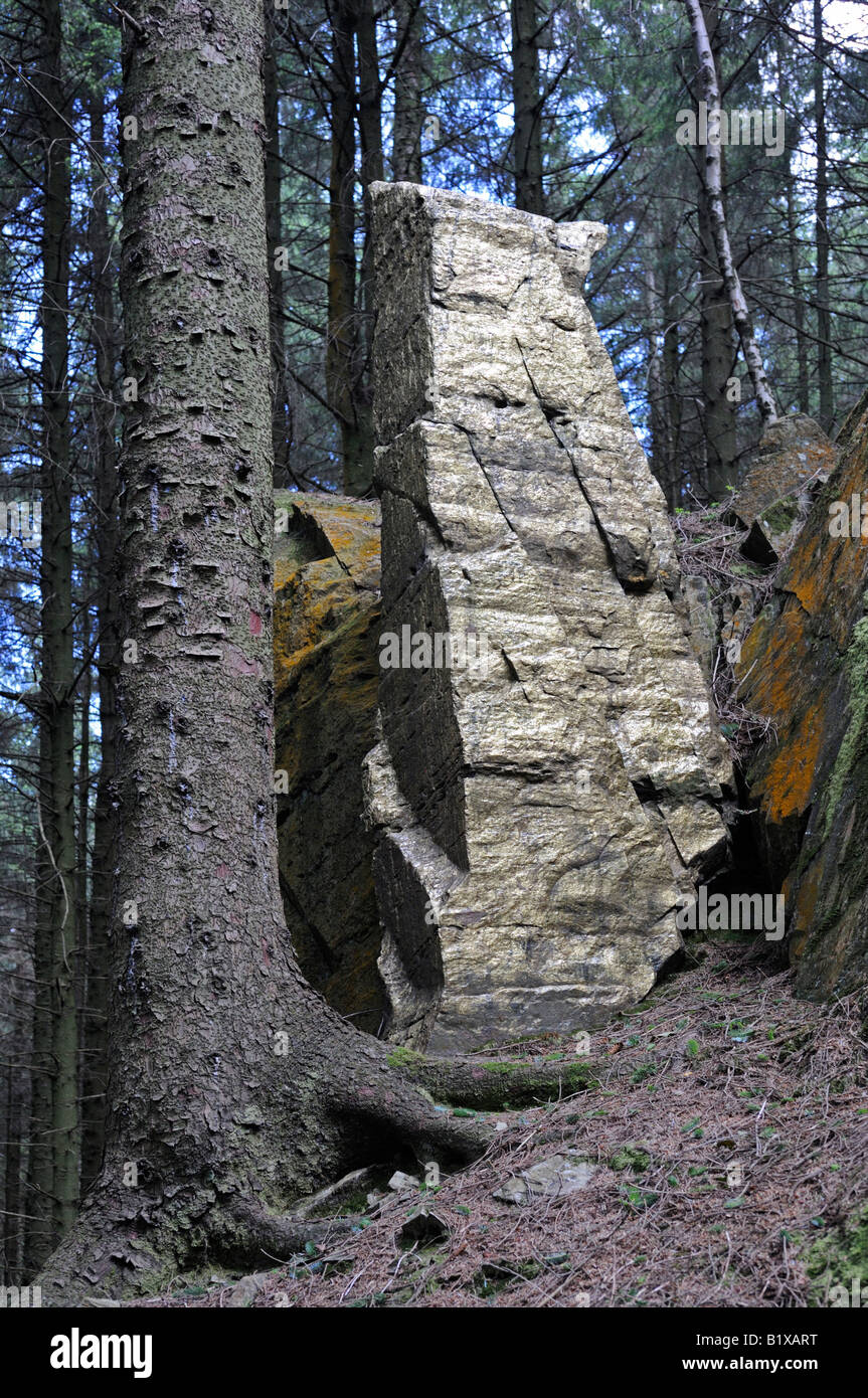 'Pierre', 1998. Sculptures en plein air par Gregory Scott-Gurner. Grizedale Forest Park, Parc National de Lake District, Cumbria. Banque D'Images