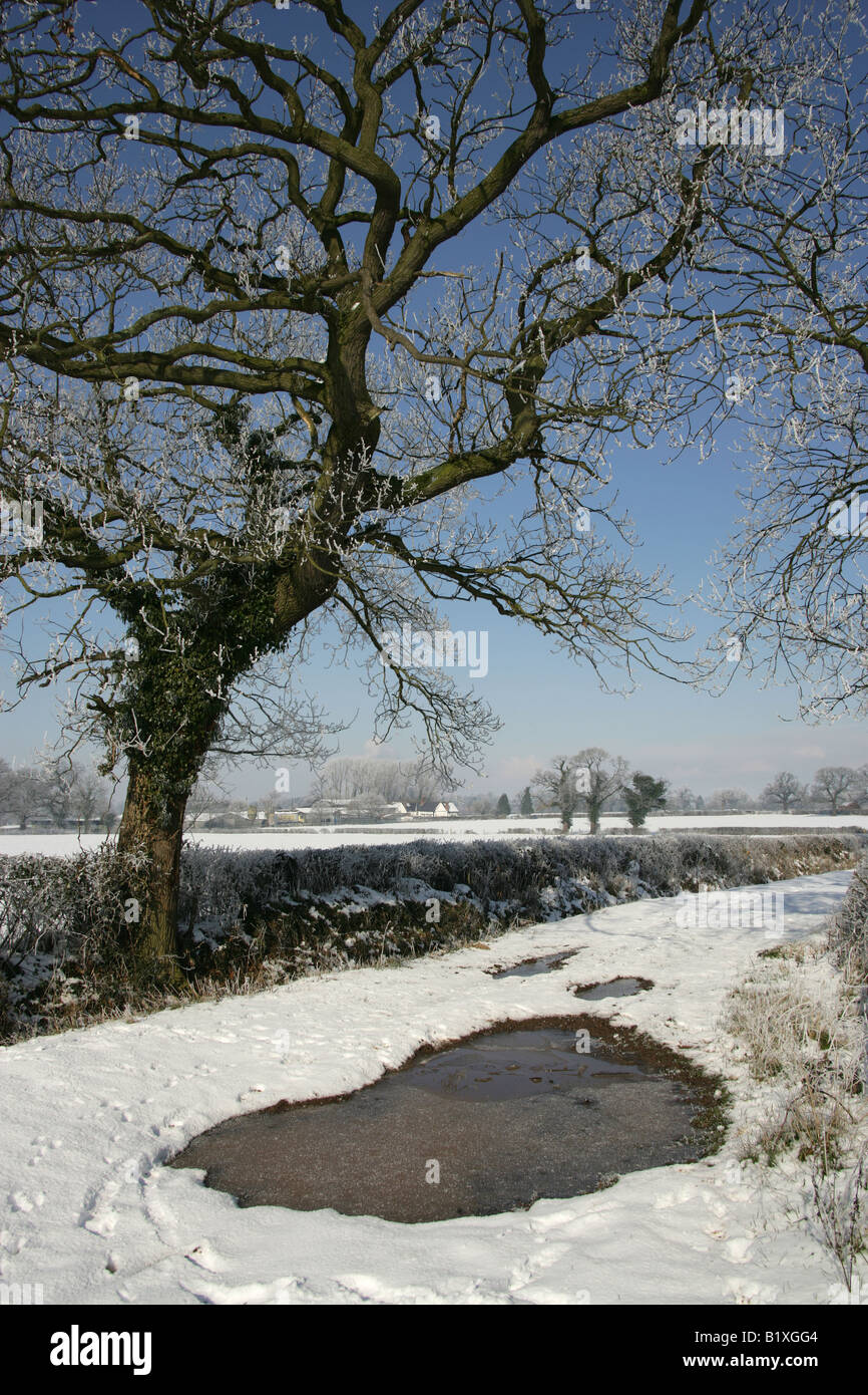 Village de Aldersey, Cheshire, Angleterre. Hiver ensoleillé neige scène d'une route de campagne et de fermes dans la campagne du Cheshire. Banque D'Images