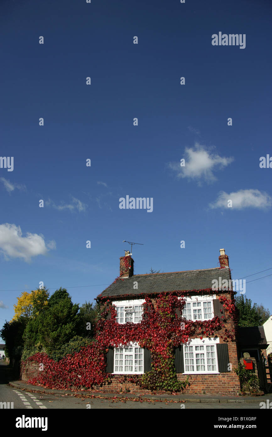 Village de Churton, Cheshire, Angleterre. Maison sur la voie de la pompe Churton avec feuilles de couleur d'automne, Vigne, sur les murs. Banque D'Images