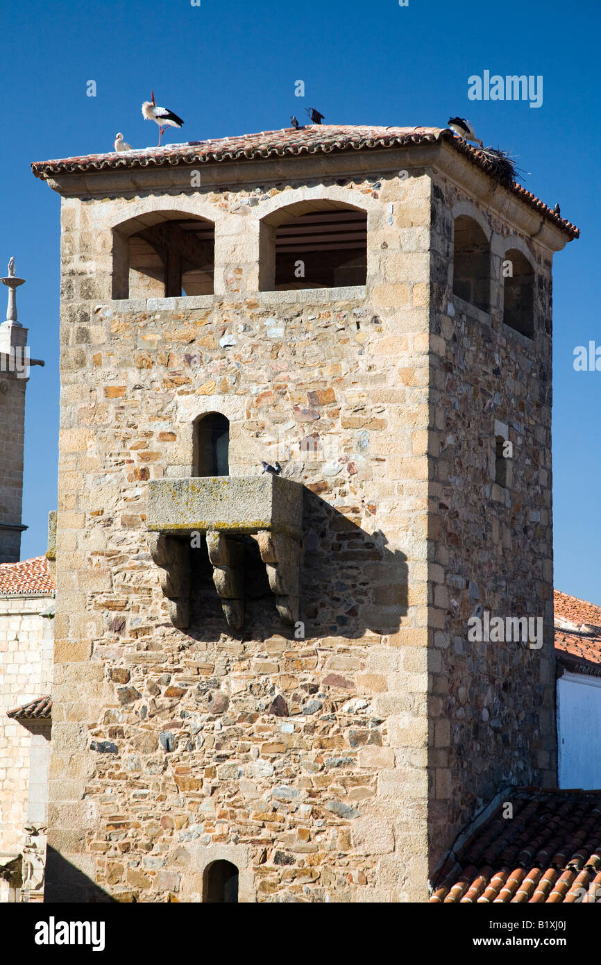 Tour de Golfines de Abajo palace avec des cigognes sur le dessus. Caceres, Espagne Banque D'Images