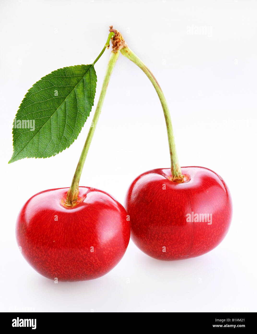 Cherry Merry Banque D'Images