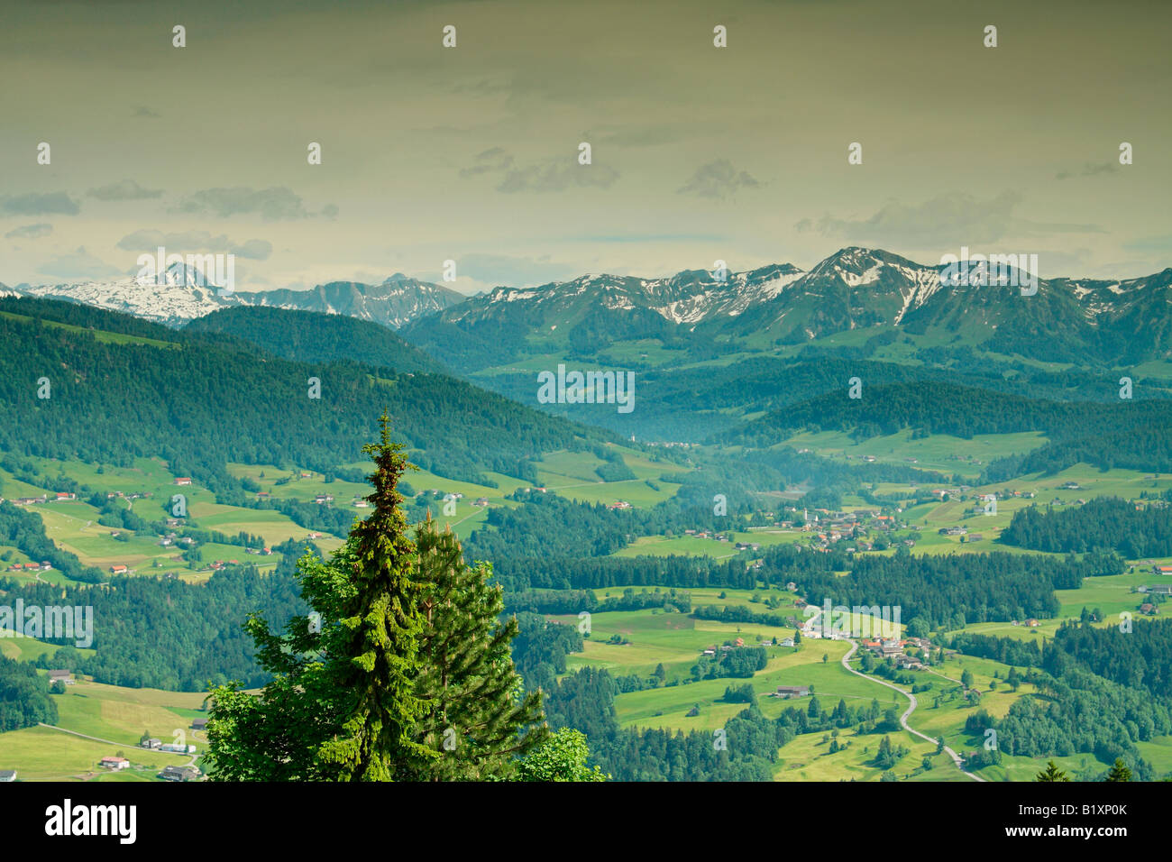 Vue de Sulzberg village, district de Bregenzerwald, Vorarlberg, Autriche Région. Banque D'Images