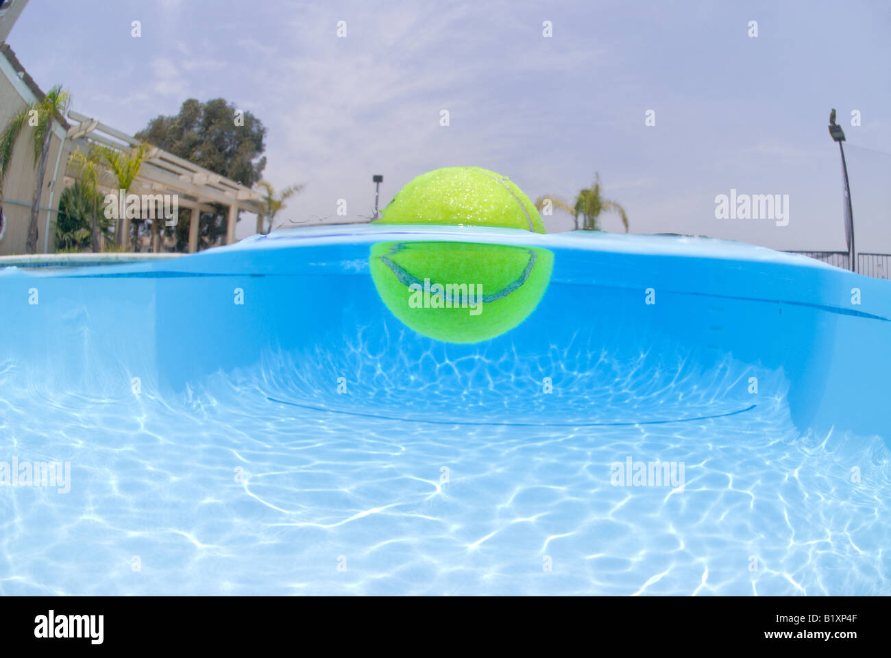 Balle de tennis floating in pool Banque D'Images