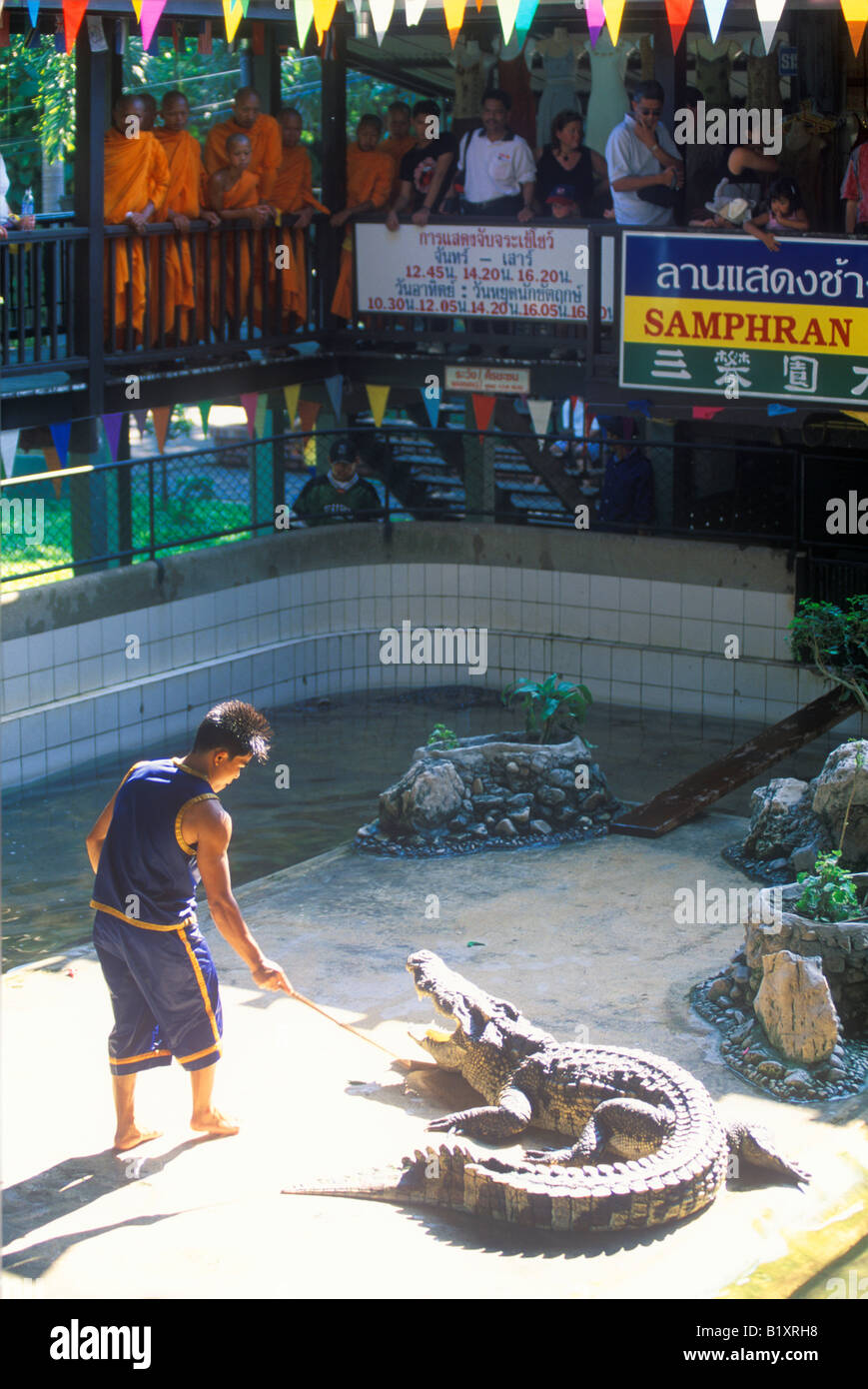Performances avec les crocodiles à Samphran Elephant Ground à près de Bangkok Banque D'Images