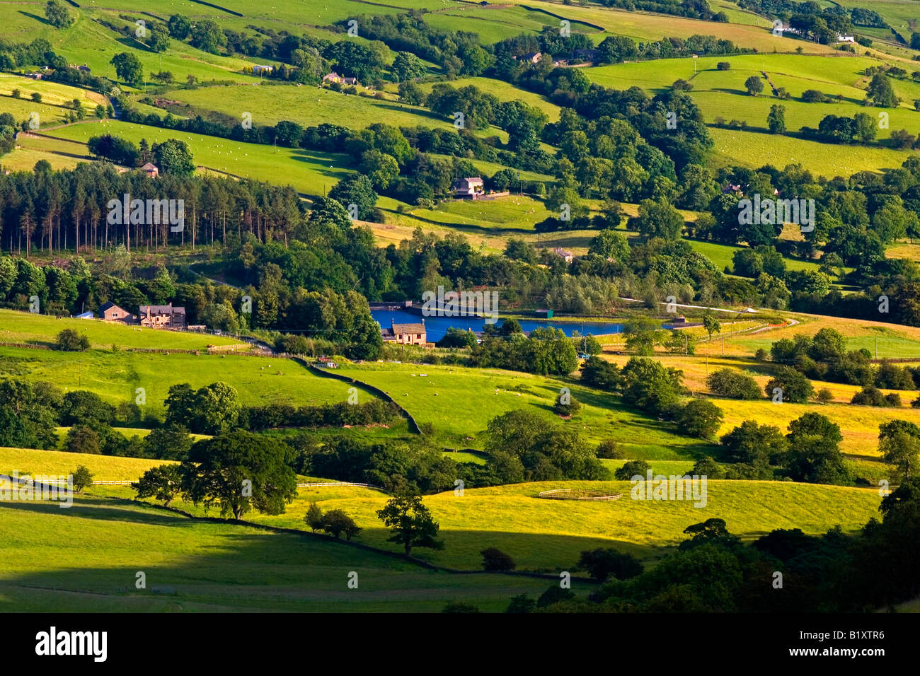 Avis de mosaïque de champs près du nez Tegg Country Park Macclesfield Cheshire dans le Peak District National Park England UK Banque D'Images
