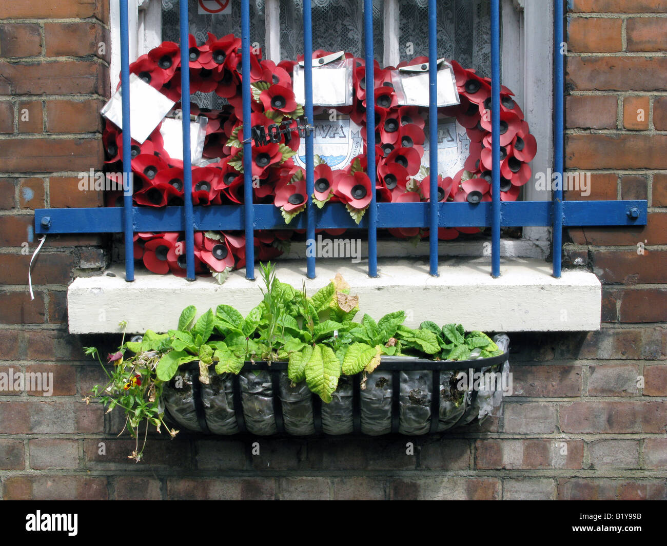 Royaume-uni British Legion plaque à l'ordre des chapeaux mémorable étain office de coquelicots sur la fenêtre , , Londres. Photo © Julio Etchart Banque D'Images