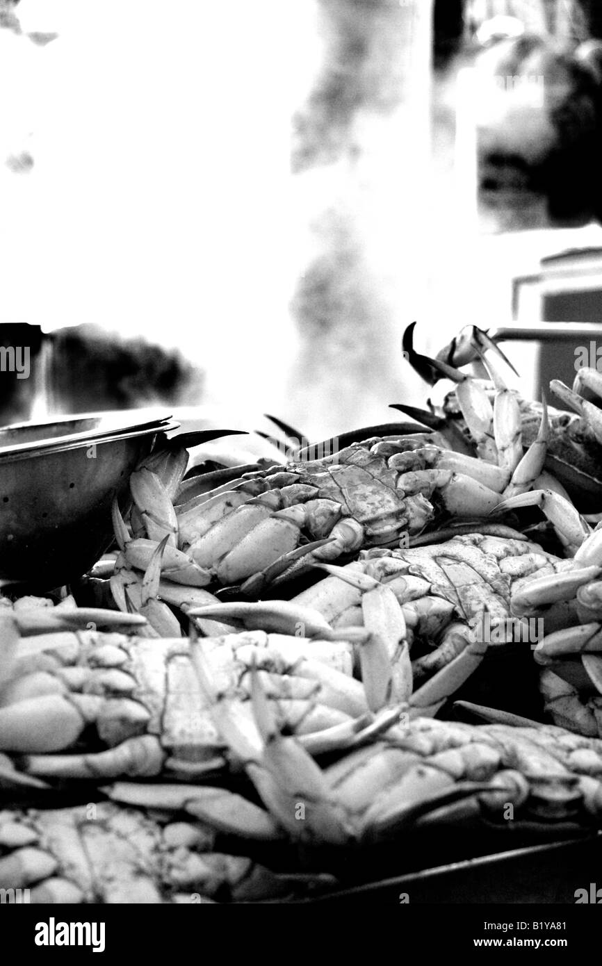 Les homards cuits étant Banque D'Images