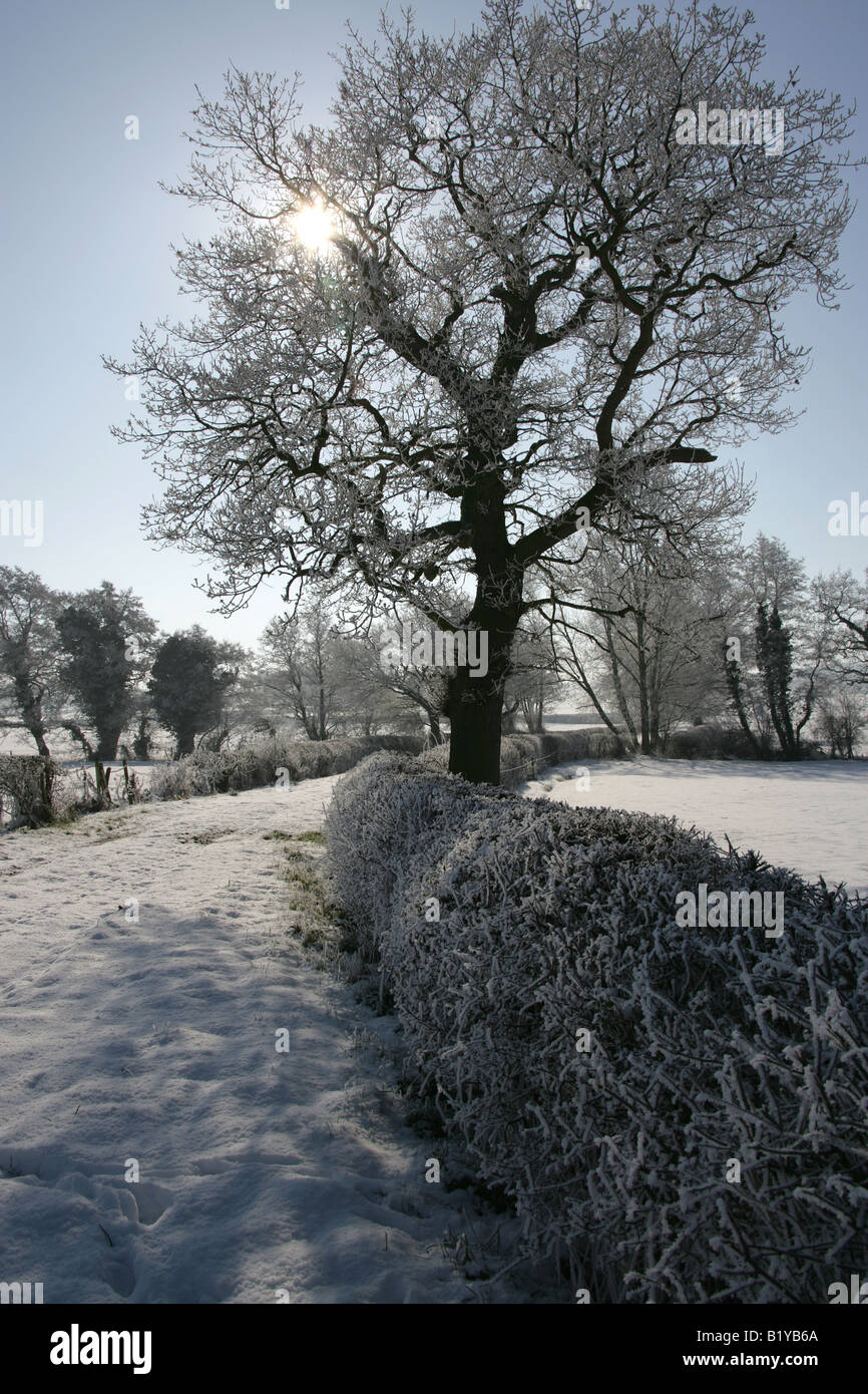 Village de Aldersey, Cheshire, Angleterre. Hiver ensoleillé neige scène d'une route de campagne et de fermes dans la campagne du Cheshire. Banque D'Images