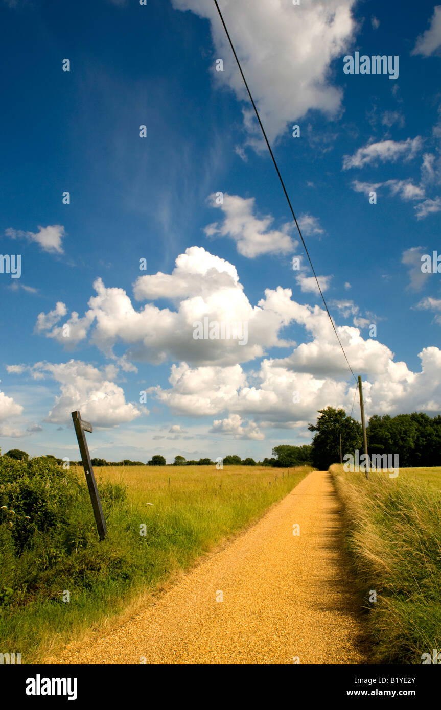 Sentier pédestre et piste dans la campagne de l'Essex. Banque D'Images