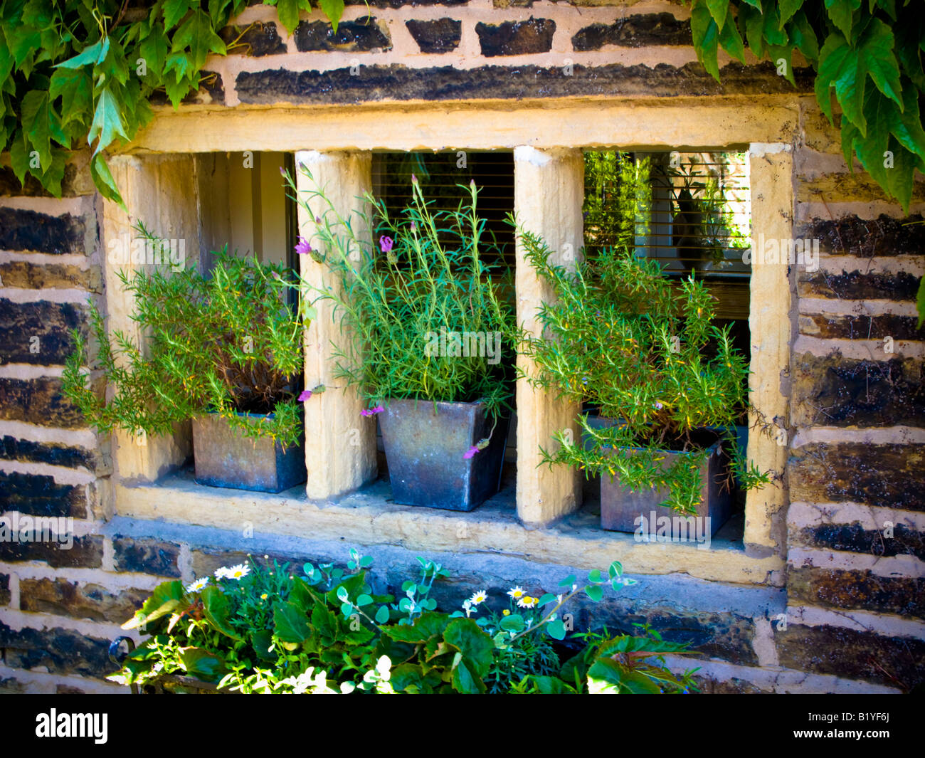 Fenêtre à Meneaux de pierre sur country house avec des pots d'herbes Banque D'Images