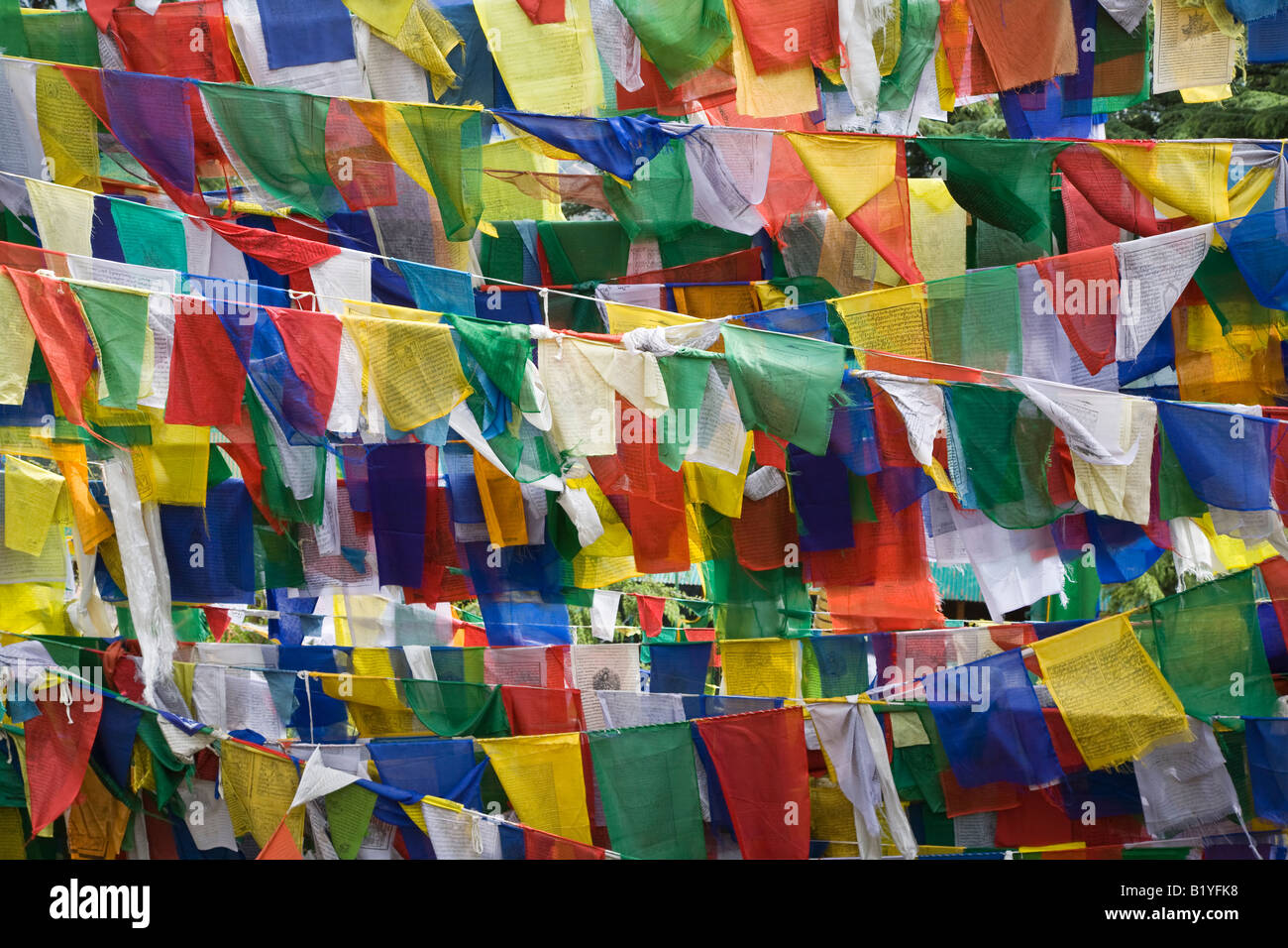 Drapeaux de prière TIBETAINS MCLEOD GANG INDE DHARMSALA Banque D'Images