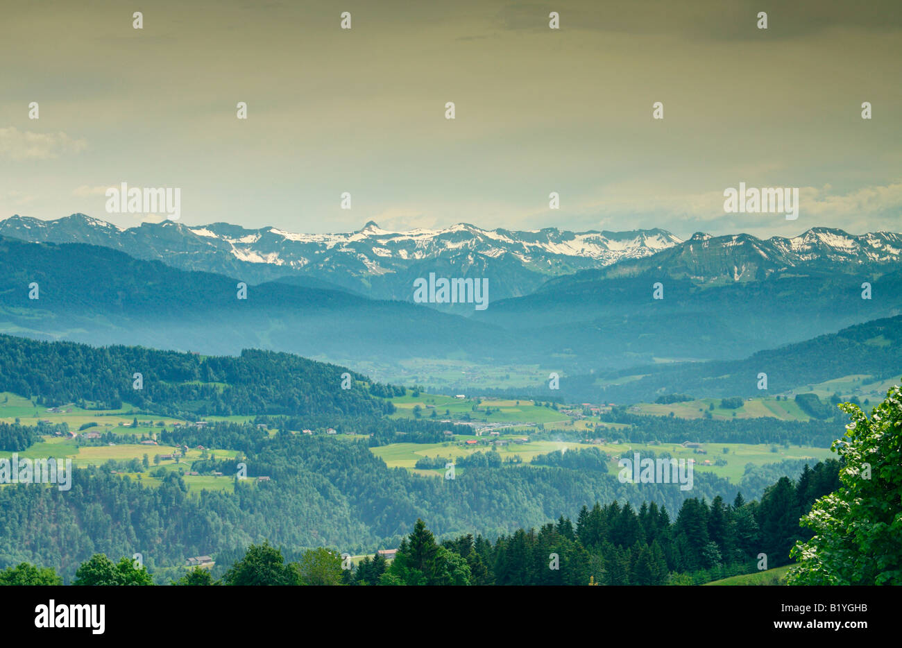 Vue de Sulzberg village, district de Bregenzerwald, Vorarlberg, Autriche Région. Banque D'Images