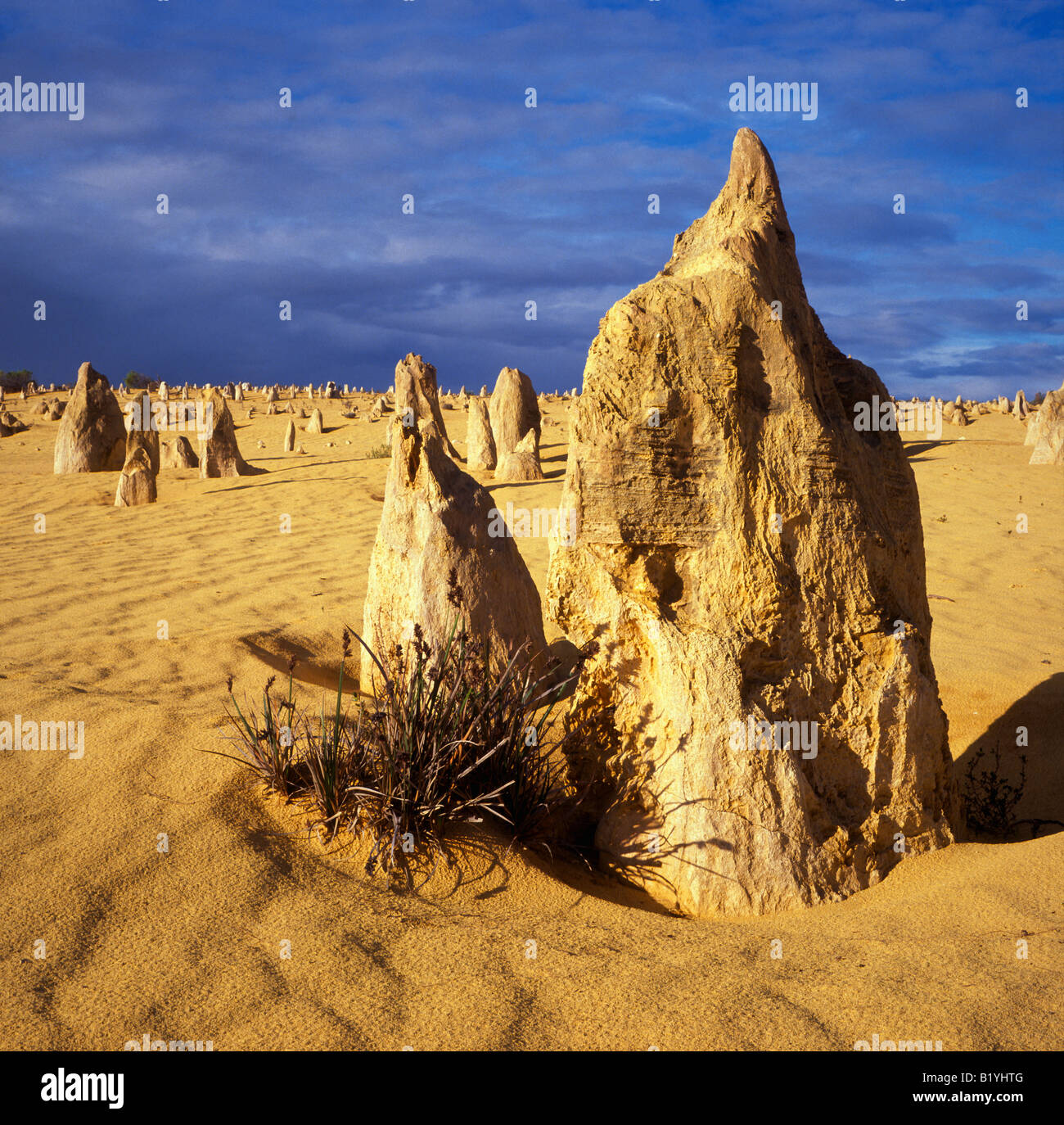 Pinnacle désert, le Parc National de Nambung, Cervantès, l'ouest de l'Australie. Banque D'Images