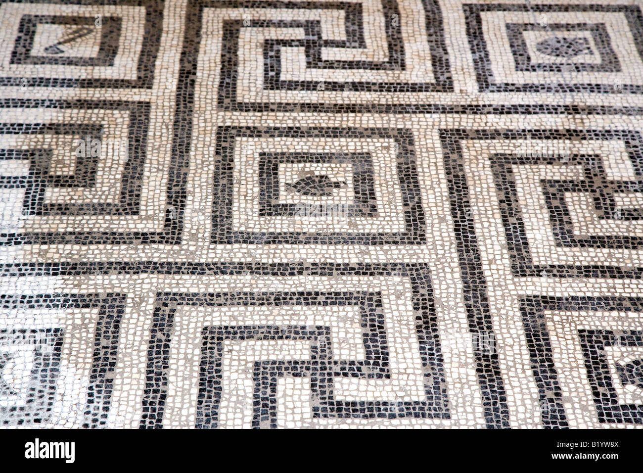 Dessins en mosaïque sur le plancher de l'Italie d'Herculanum complexe des bains Banque D'Images