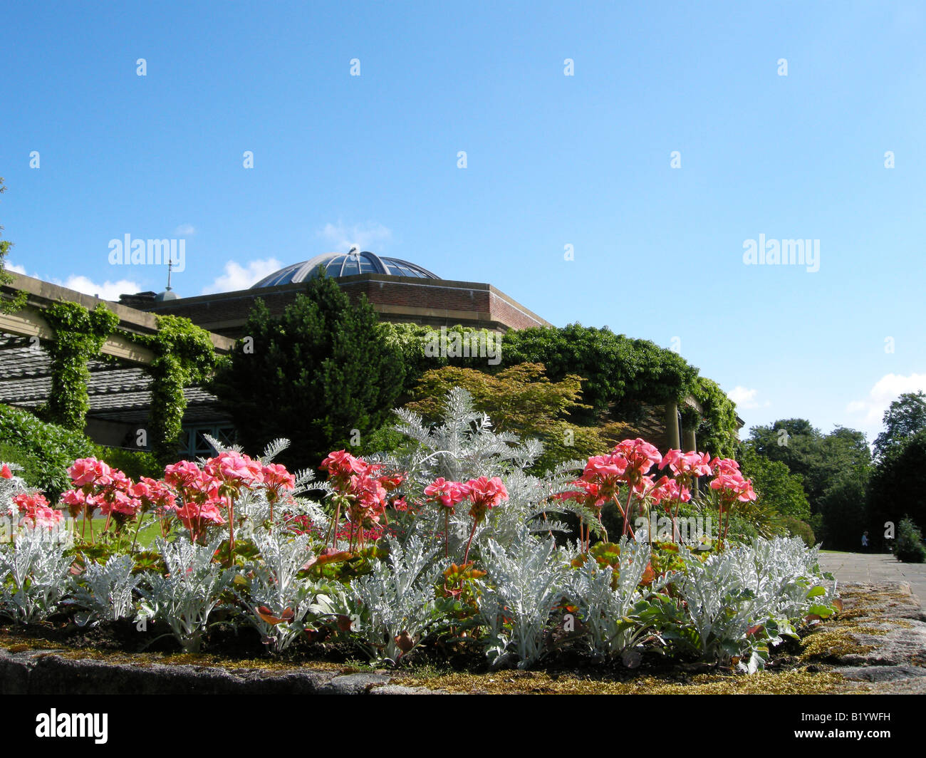 Fleurs en face du pavillon à Sun Valley gardens harrogate Banque D'Images