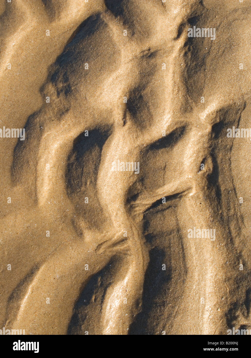 Golden sand ripples texture de fond avec les ombres Banque D'Images