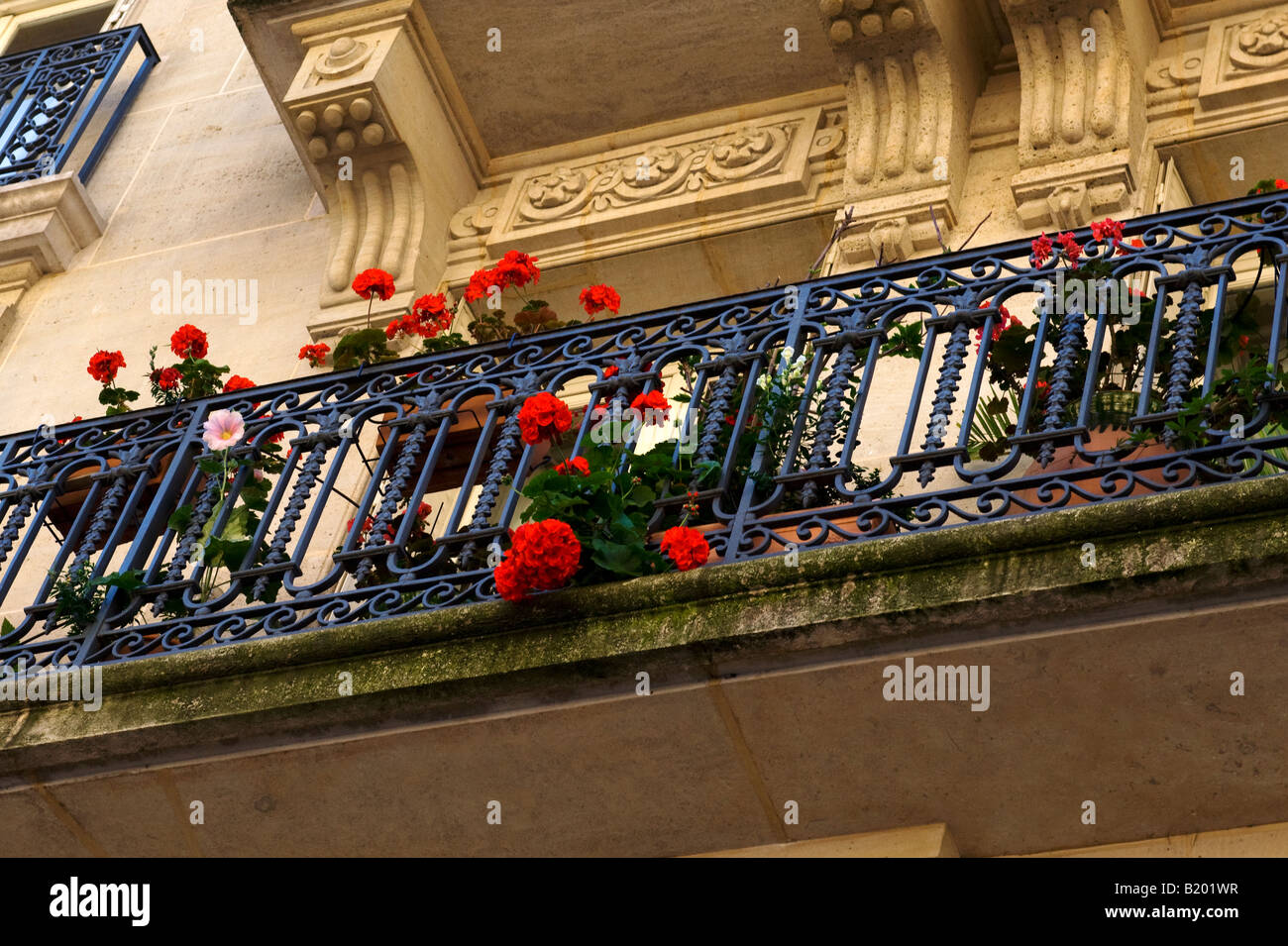Fleurs de suspendre à un balcon de fer forgé à Paris, France. Banque D'Images