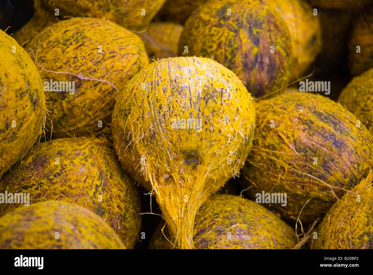 Coco sur une échoppe de marché à Singapour Banque D'Images