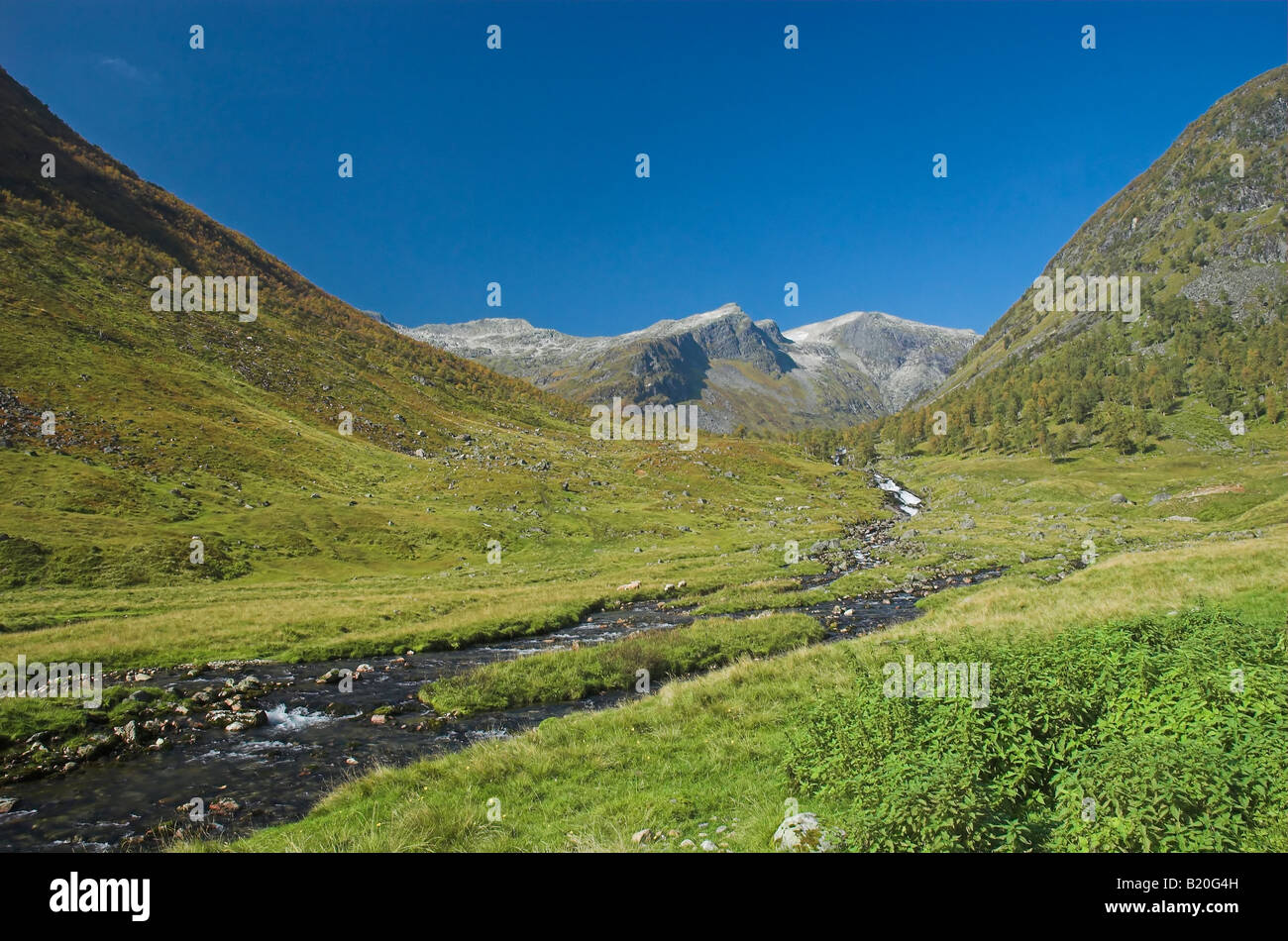 Selsang Vallée, Sognefjord, la Norvège avec ruisseau et des glaciers en arrière-plan Banque D'Images