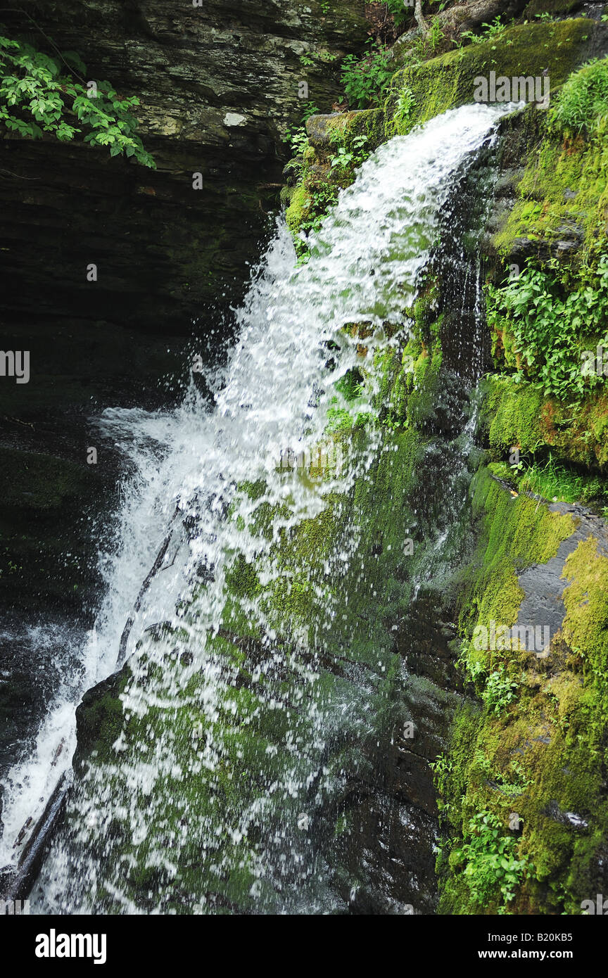 Cascade de Bushkill PA. Banque D'Images