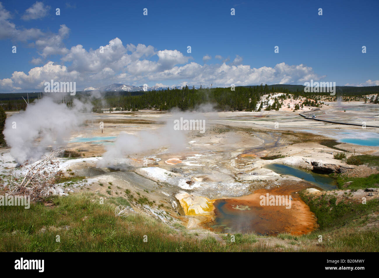 Norris Geyser Basin Le Parc National de Yellowstone au Wyoming USA Banque D'Images