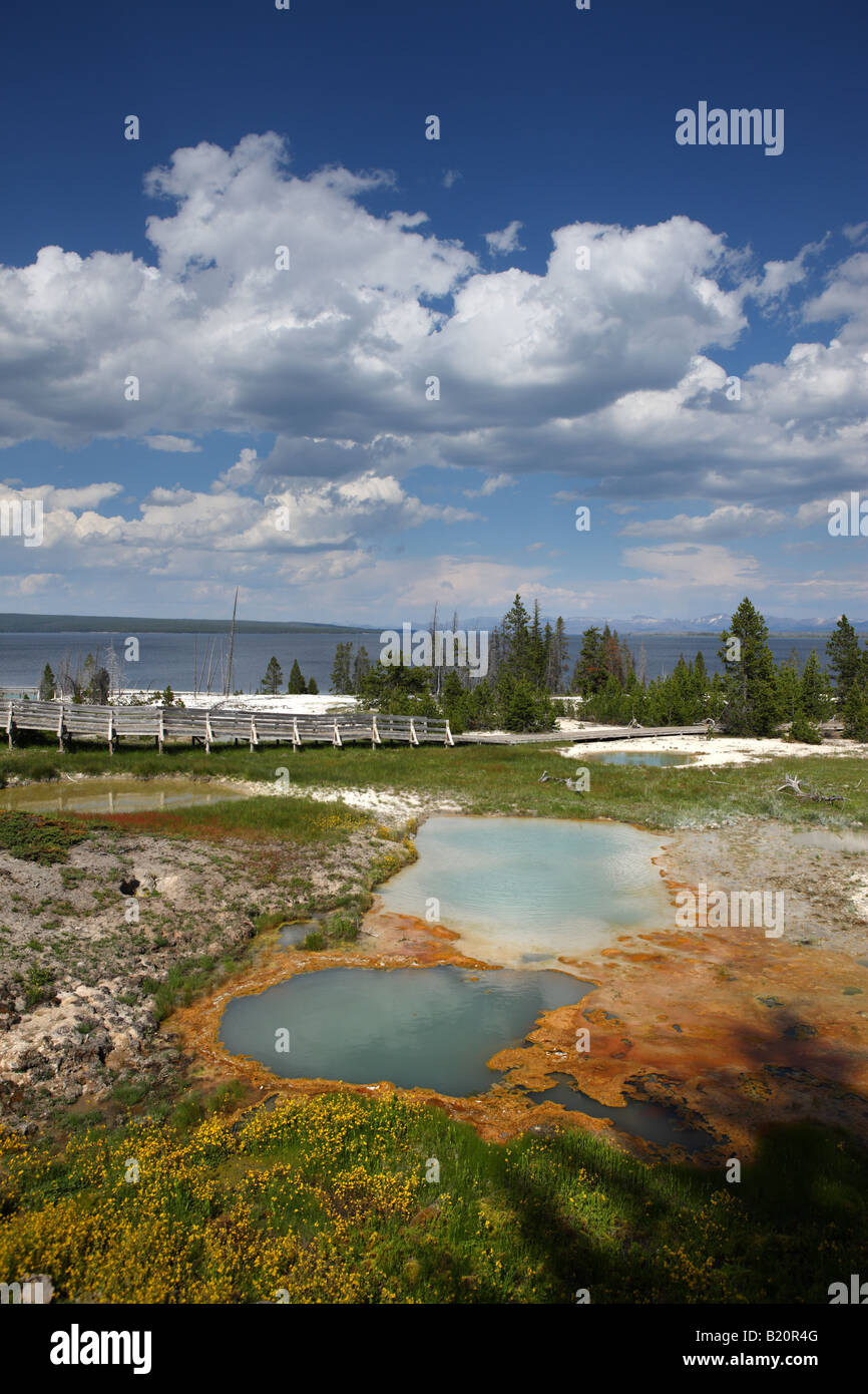 West Thumb Geyser Basin Yellowstone National Park Banque D'Images