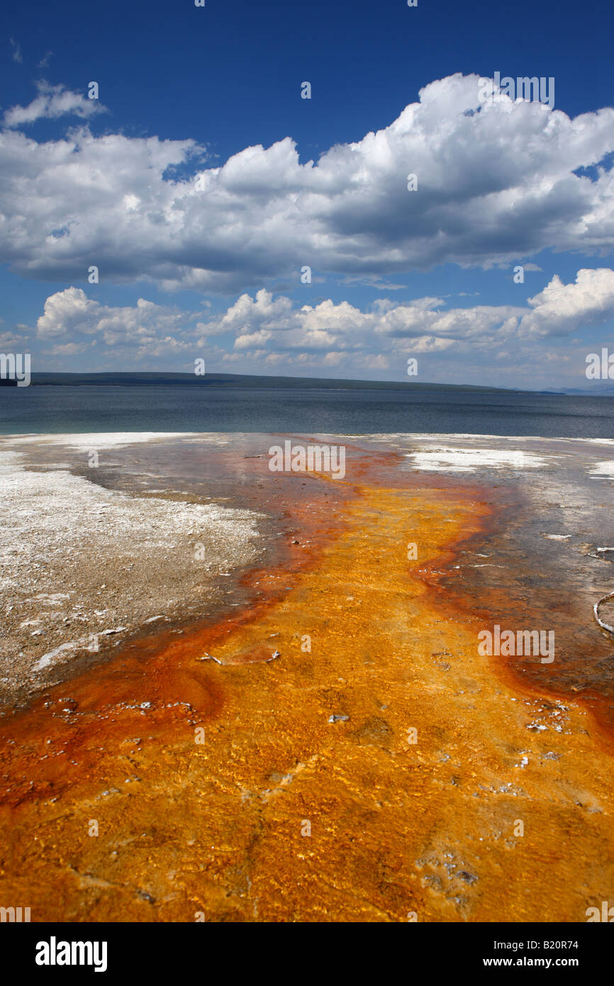 Colorful Hot spring les algues et le lac Yellowstone West Thumb Geyser Basin Yellowstone National Park Banque D'Images